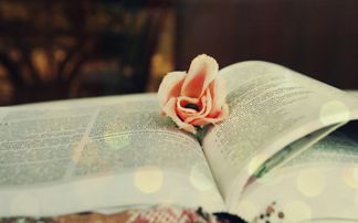 書香與藥香 醫(yī)學生的文藝之路